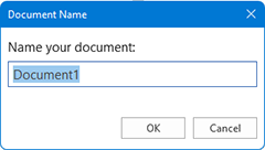 The document name dialog